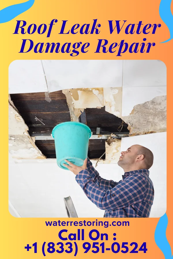 Roof Leak Water Damage Repair in Delcambre, LA